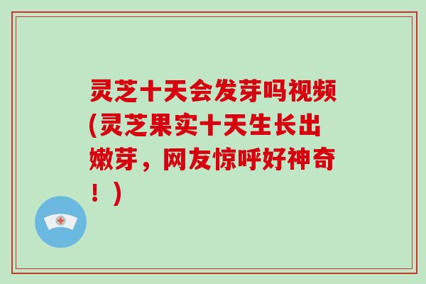 灵芝十天会发芽吗视频(灵芝果实十天生长出嫩芽,网友惊呼好神奇!)