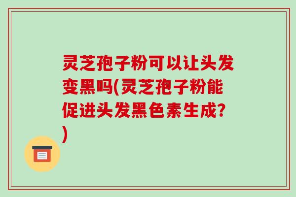 灵芝孢子粉可以让头发变黑吗(灵芝孢子粉能促进头发黑色素生成？)
