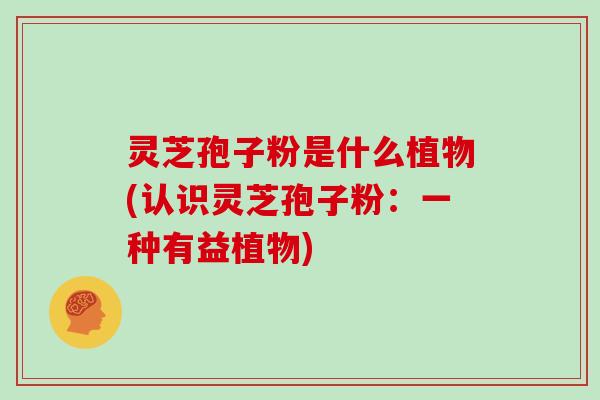 灵芝孢子粉是什么植物(认识灵芝孢子粉:一种有益植物)