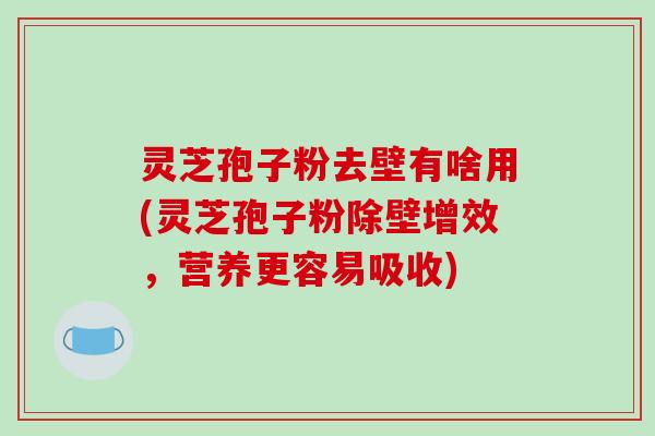 灵芝孢子粉去壁有啥用(灵芝孢子粉除壁增效,营养更容易吸收)