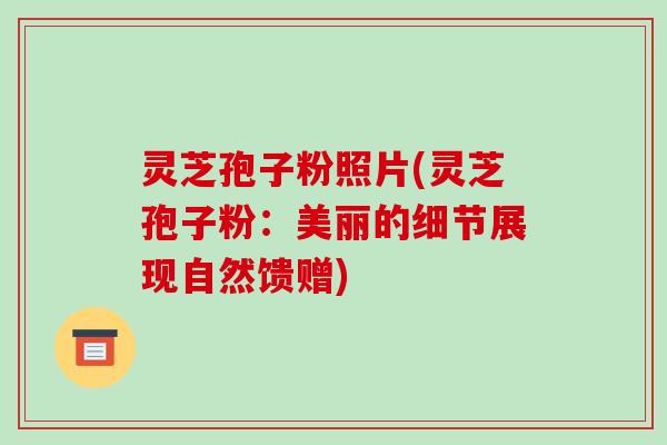 灵芝孢子粉照片(灵芝孢子粉:美丽的细节展现自然馈赠)