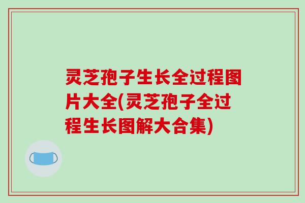 灵芝孢子生长全过程图片大全(灵芝孢子全过程生长图解大合集)