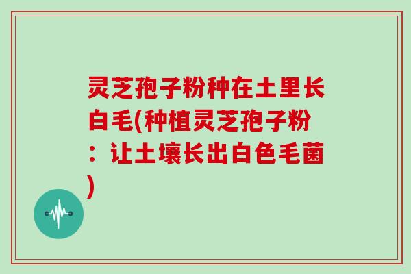 灵芝孢子粉种在土里长白毛(种植灵芝孢子粉:让土壤长出白色毛菌)