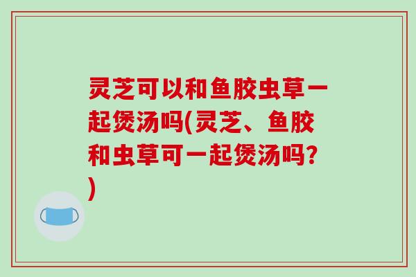 灵芝可以和鱼胶虫草一起煲汤吗(灵芝、鱼胶和虫草可一起煲汤吗?)