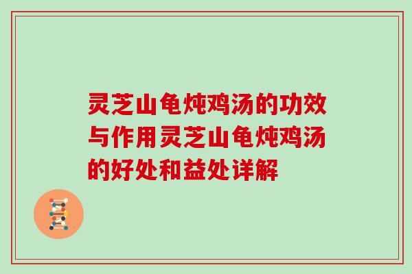 灵芝山龟炖鸡汤的功效与作用灵芝山龟炖鸡汤的好处和益处详解