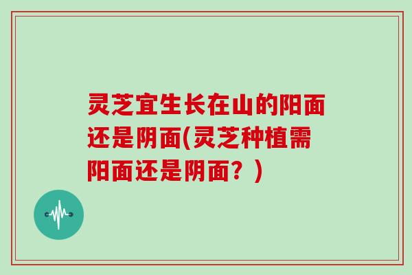 灵芝宜生长在山的阳面还是阴面(灵芝种植需阳面还是阴面?)