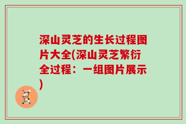 深山灵芝的生长过程图片大全(深山灵芝繁衍全过程：一组图片展示)