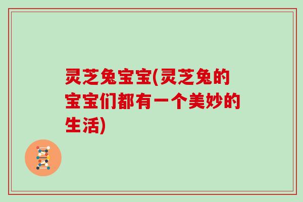 灵芝兔宝宝(灵芝兔的宝宝们都有一个美妙的生活)