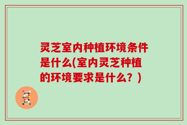 灵芝室内种植环境条件是什么(室内灵芝种植的环境要求是什么？)
