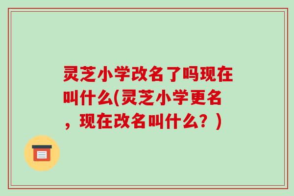 灵芝小学改名了吗现在叫什么(灵芝小学更名,现在改名叫什么?)