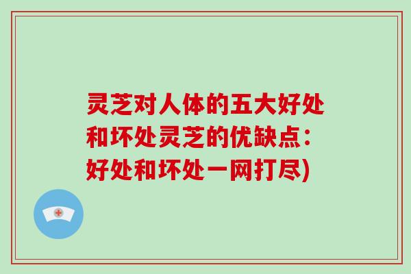 灵芝对人体的五大好处和坏处灵芝的优缺点:好处和坏处一网打尽)