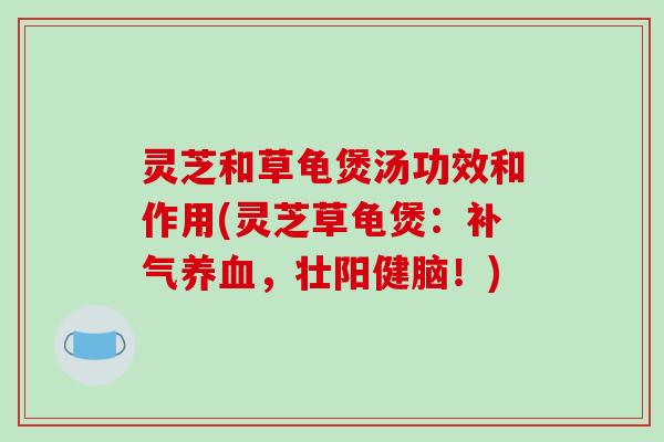 灵芝和草龟煲汤功效和作用(灵芝草龟煲:补气养血,壮阳健脑!)