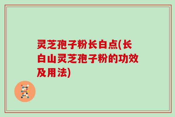 灵芝孢子粉长白点(长白山灵芝孢子粉的功效及用法)