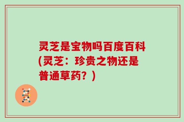 灵芝是宝物吗百度百科(灵芝:珍贵之物还是普通草药?)