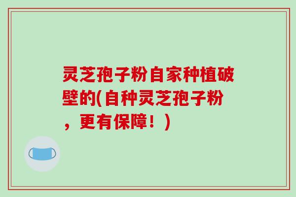 灵芝孢子粉自家种植破壁的(自种灵芝孢子粉,更有保障!)