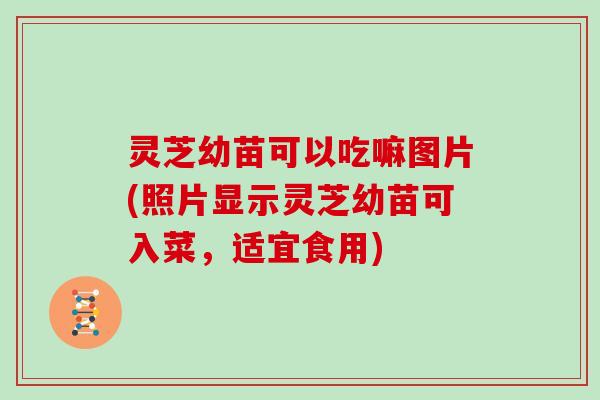 灵芝幼苗可以吃嘛图片(照片显示灵芝幼苗可入菜,适宜食用)