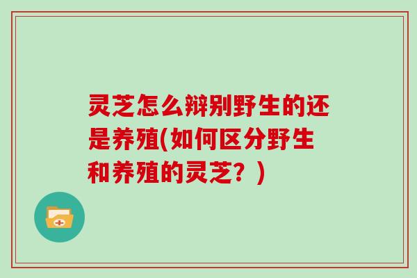 灵芝怎么辩别野生的还是养殖(如何区分野生和养殖的灵芝?)