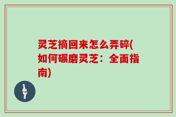 灵芝摘回来怎么弄碎(如何碾磨灵芝：全面指南)