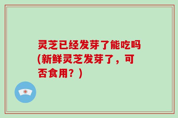 灵芝已经发芽了能吃吗(新鲜灵芝发芽了，可否食用？)