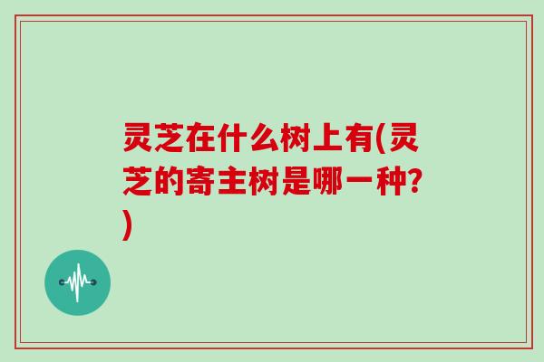 灵芝在什么树上有(灵芝的寄主树是哪一种?)