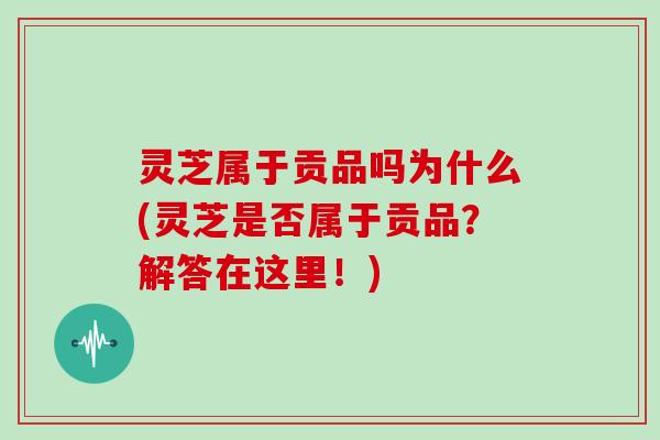 灵芝属于贡品吗为什么(灵芝是否属于贡品?解答在这里!)