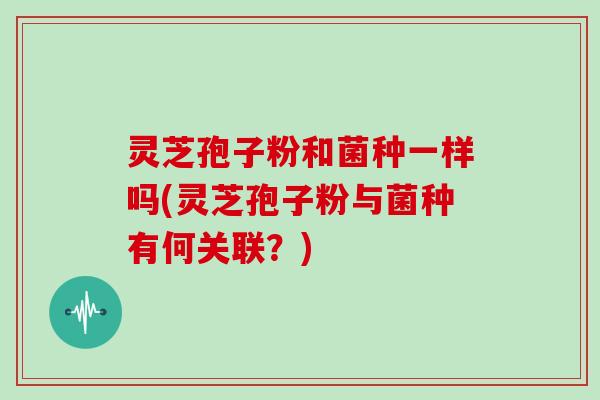 灵芝孢子粉和菌种一样吗(灵芝孢子粉与菌种有何关联?)
