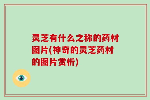 灵芝有什么之称的药材图片(神奇的灵芝药材的图片赏析)