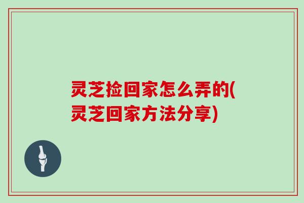 灵芝捡回家怎么弄的(灵芝回家方法分享)