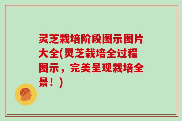 灵芝栽培阶段图示图片大全(灵芝栽培全过程图示，完美呈现栽培全景！)