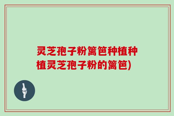 灵芝孢子粉篱笆种植种植灵芝孢子粉的篱笆)