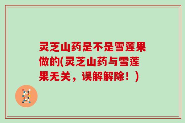 灵芝山药是不是雪莲果做的(灵芝山药与雪莲果无关，误解解除！)