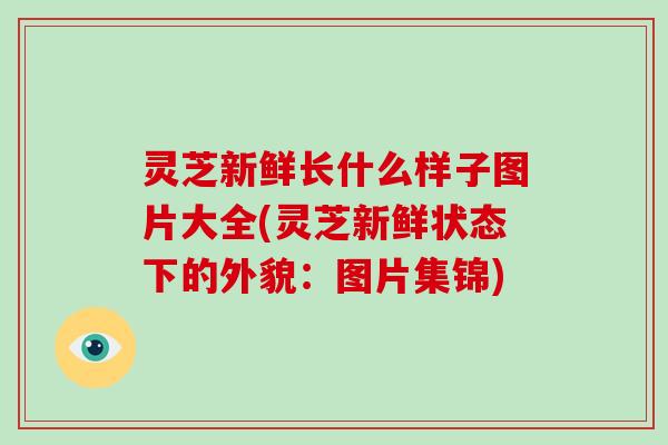 灵芝新鲜长什么样子图片大全(灵芝新鲜状态下的外貌:图片集锦)