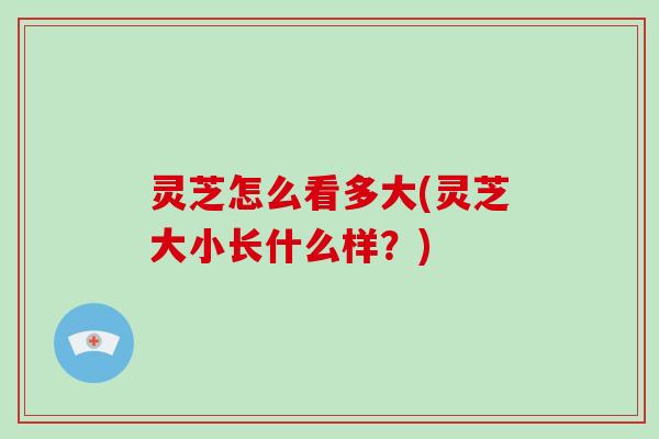 灵芝怎么看多大(灵芝大小长什么样?)