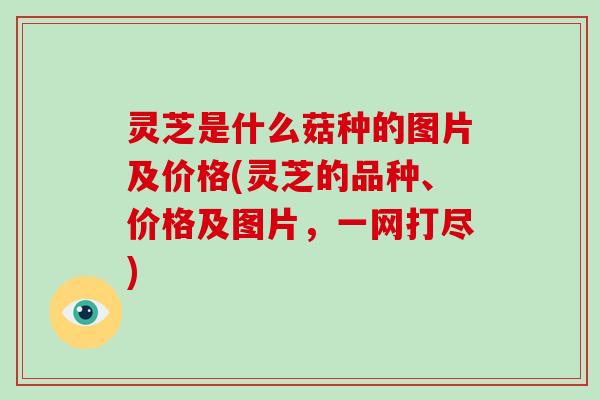 灵芝是什么菇种的图片及价格(灵芝的品种、价格及图片,一网打尽)