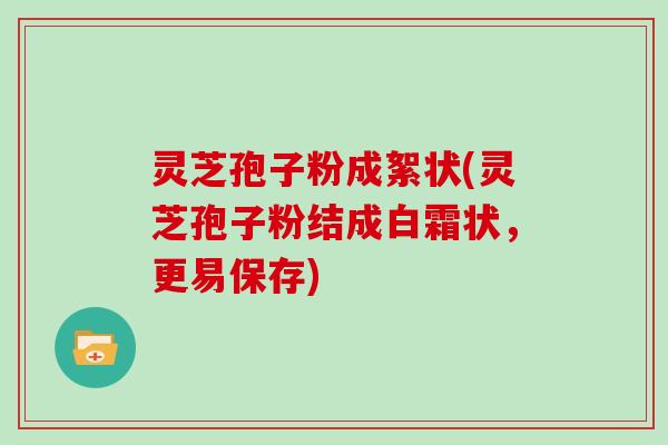灵芝孢子粉成絮状(灵芝孢子粉结成白霜状,更易保存)
