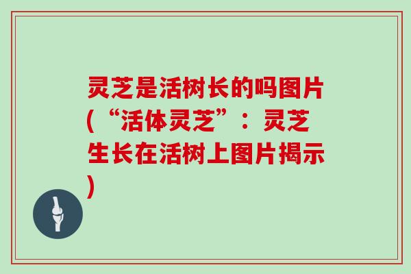 灵芝是活树长的吗图片(“活体灵芝”：灵芝生长在活树上图片揭示)