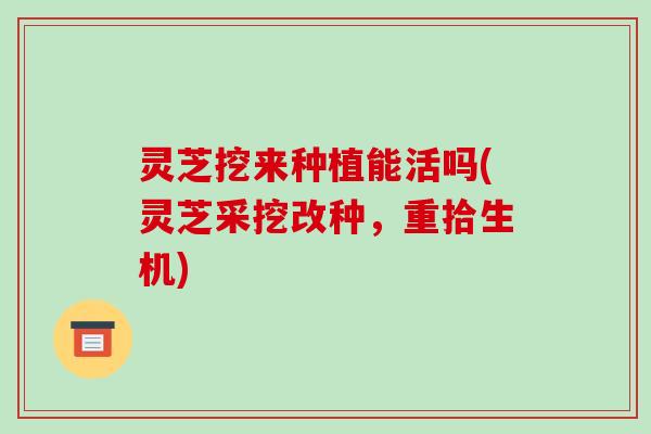 灵芝挖来种植能活吗(灵芝采挖改种，重拾生机)