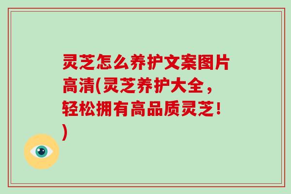 灵芝怎么养护文案图片高清(灵芝养护大全,轻松拥有高品质灵芝!)