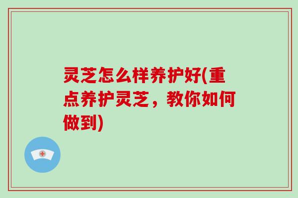 灵芝怎么样养护好(重点养护灵芝,教你如何做到)