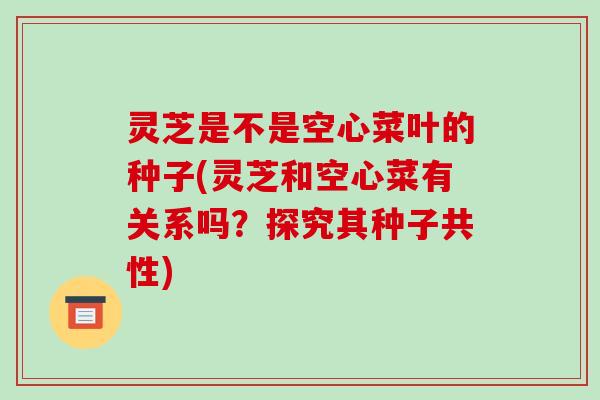 灵芝是不是空心菜叶的种子(灵芝和空心菜有关系吗?探究其种子共性)