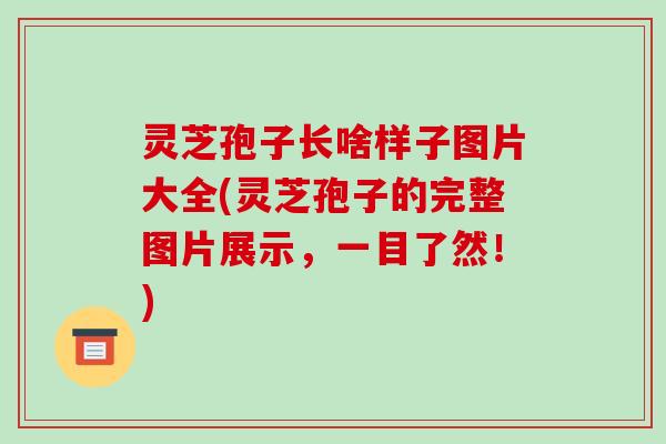 灵芝孢子长啥样子图片大全(灵芝孢子的完整图片展示,一目了然!)