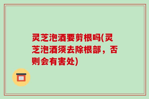 灵芝泡酒要剪根吗(灵芝泡酒须去除根部,否则会有害处)