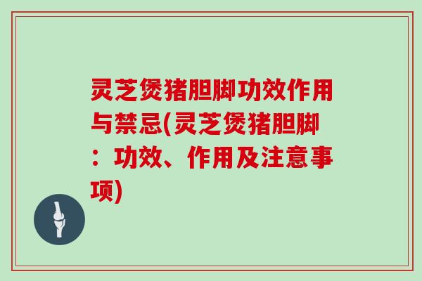 灵芝煲猪胆脚功效作用与禁忌(灵芝煲猪胆脚:功效、作用及注意事项)