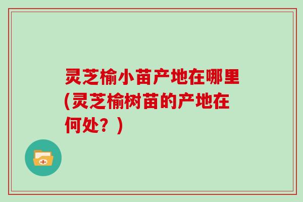 灵芝榆小苗产地在哪里(灵芝榆树苗的产地在何处?)