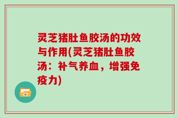 灵芝猪肚鱼胶汤的功效与作用(灵芝猪肚鱼胶汤:补气养血,增强免疫力)