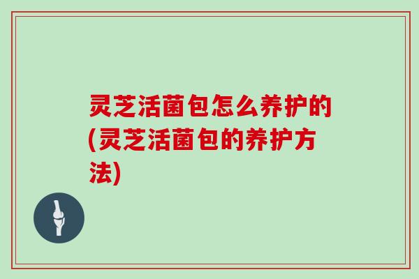 灵芝活菌包怎么养护的(灵芝活菌包的养护方法)