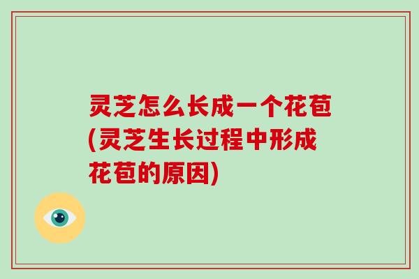 灵芝怎么长成一个花苞(灵芝生长过程中形成花苞的原因)