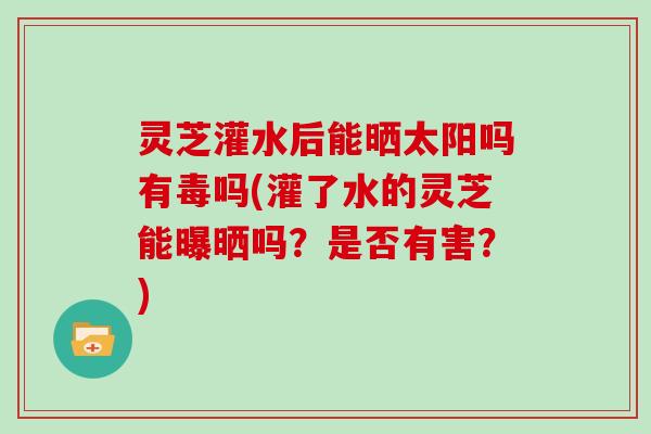 灵芝灌水后能晒太阳吗有毒吗(灌了水的灵芝能曝晒吗？是否有害？)