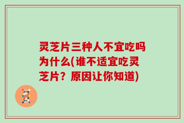 灵芝片三种人不宜吃吗为什么(谁不适宜吃灵芝片?原因让你知道)