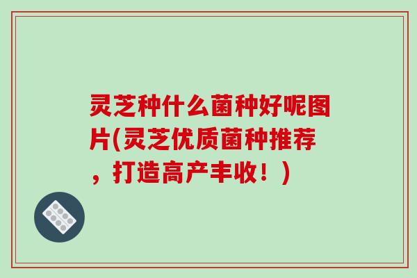 灵芝种什么菌种好呢图片(灵芝优质菌种推荐,打造高产丰收!)